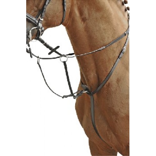 Martingale for horses Homeovet